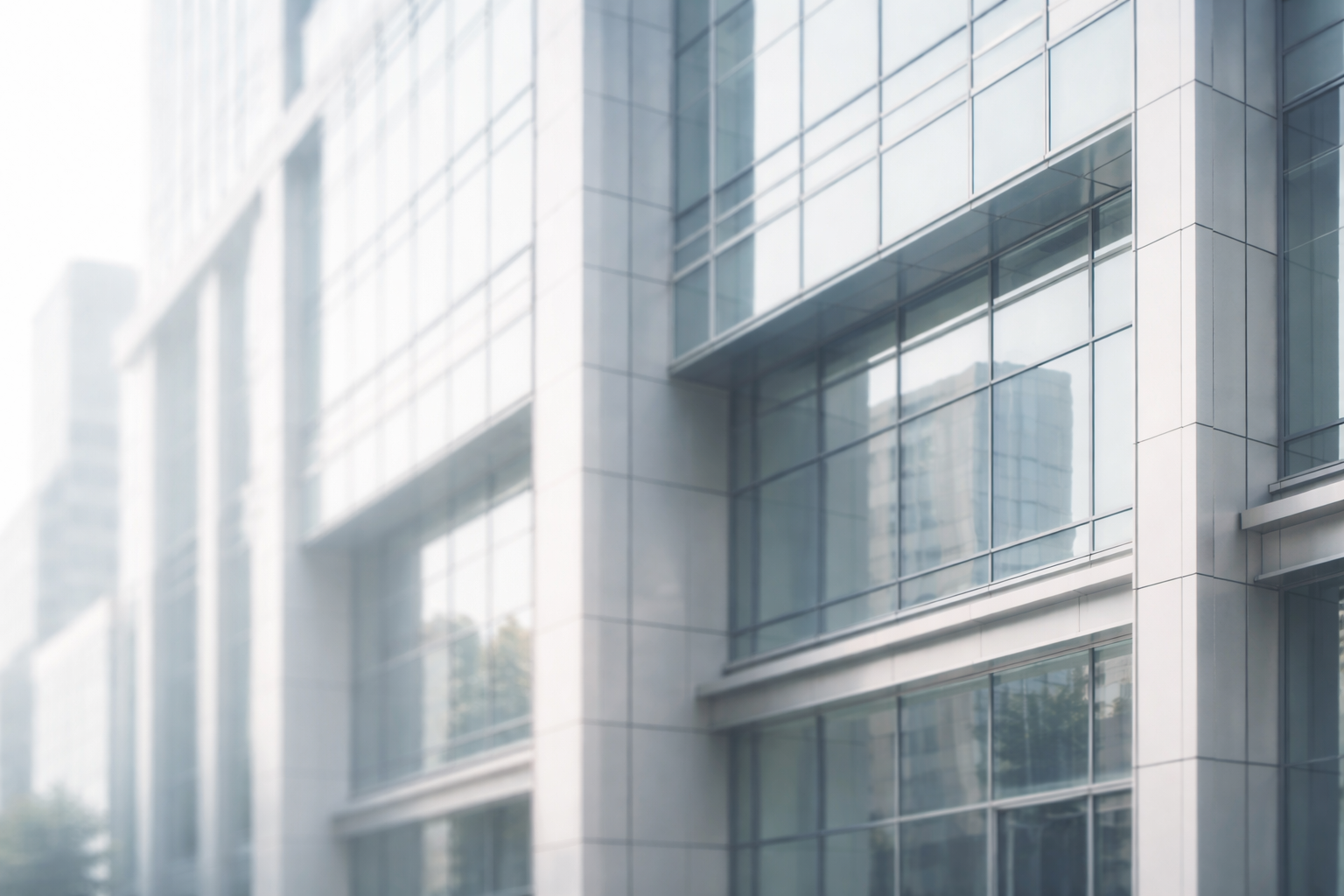 one person corporation